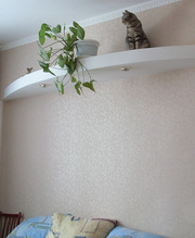 Все виды отделочных и ремонтных работ.