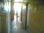 Декоративная штукатурка. Барельефы,  ручная лепка. Не дорого. гарантия