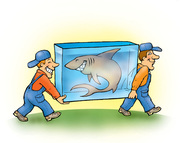 Грузчики в Пензе