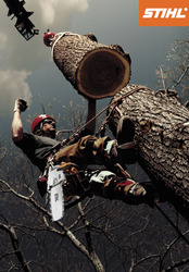 Спил деревьев,  вывоз мусора,  доставка стройматериалов по хорошим ценам