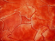 Декоративная отделка. Ремонт. Отделка 