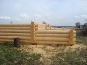 сруб из строганой сосны готовый и на заказ
