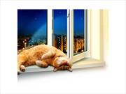 Изготовление и установка окон и дверей