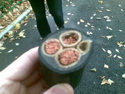 Кабель КГ-ХЛ 3*95+1 