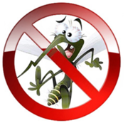  Ремонт, регулировка  пластиковых окон.Москитные сетки за 1 день.