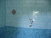 ремонт квартир,  все виды J