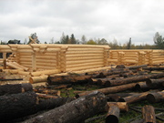 Изготовление срубов на заказ из зимнего леса