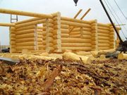 Cрубы бань и домов от 49900 руб! Доставка по РФ!