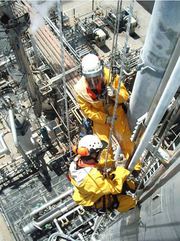 Альпинисты. Герметизация,  швы,  кровля,  балконы,  спил дерева.