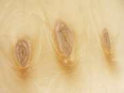 Фанера березовая  влагостойкая ФКМ