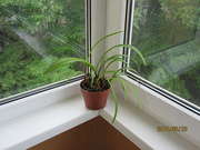 Монтаж пластиковых окон