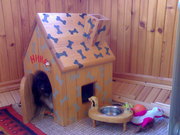 ремонт в доме