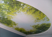 Натяжные потолки в омске